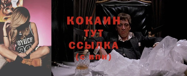 твердый Инта
