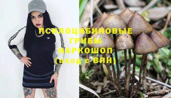 MDMA Premium VHQ Зерноград