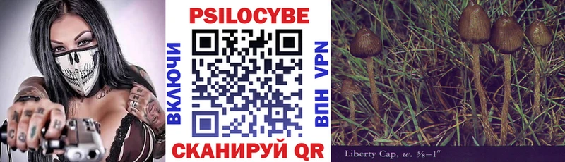 Купить где Пучеж Галлюциногенные грибы Cubensis